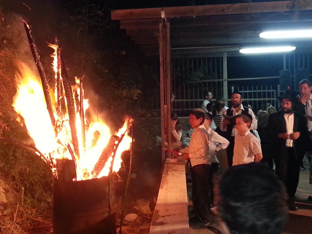 Lag B'Omer 5773