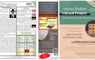 Newsletter Image - Ki Seitzei 5781