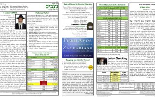 Newsletter Image - Ki Savo 5781Newsletter Image - Nitzavim 5781