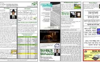 Newsletter Image - Re'eh 5781