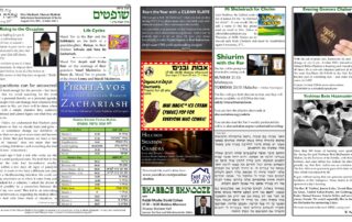 Newsletter Image - Shoftim 5781