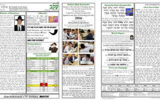 Newsletter Image - Eikev 5782