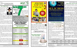 Newsletter Image - Ki Savo 5782