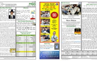 Newsletter Image - Matos 5782