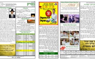 Newsletter Image - Metzora 5782