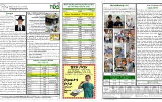 Newsletter Image - Pesach 5782