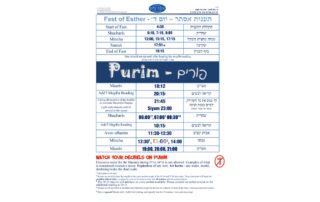 5782 Purim Schedule Image