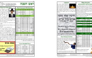 Newsletter Image - Ki Savo 5781Newsletter Image - Rosh Hashanah 5782