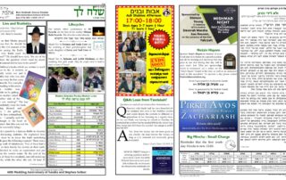 Newsletter Image - Shelach Lecha 5782