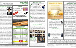 Newsletter Image - Shoftim 5782