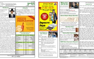 Newsletter Image - Tazria 5782