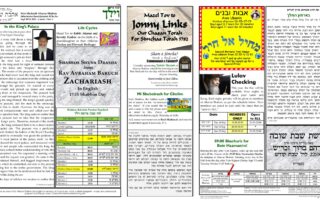 Newsletter Image - Vayeilech 5782