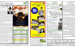 Newsletter Image - Vayeishev 5782