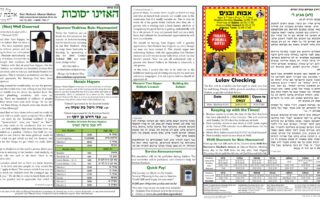 Newsletter Image - Haazinu 5783