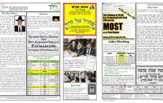 Newsletter Image - Vayeilech 5783
