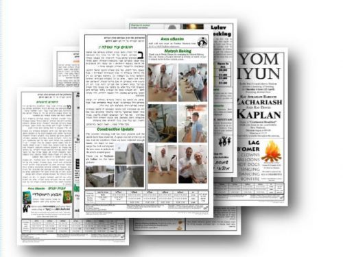 Newsletter Montage